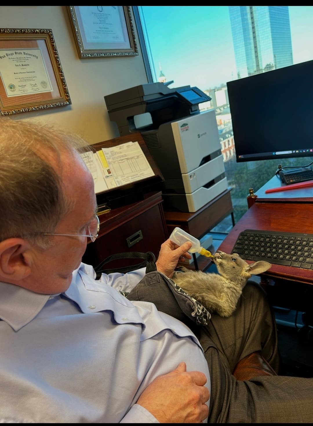 Dale J. Montpelier feeding Sophie the kangaroo at his desk
