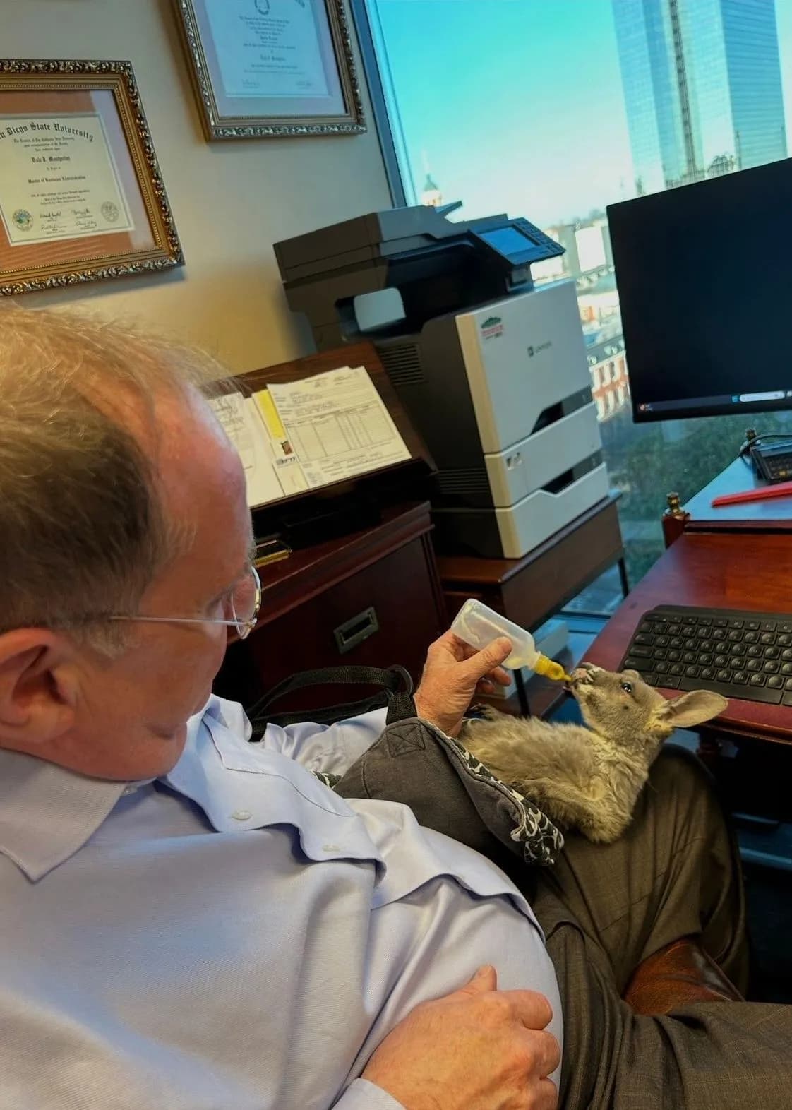 Dale J. Montpelier feeding Sophie the kangaroo at his desk