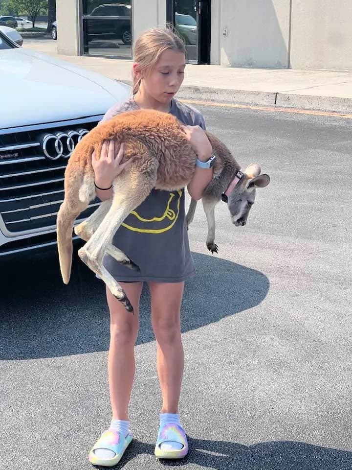 Niña pequeña sosteniendo a Jack el canguro