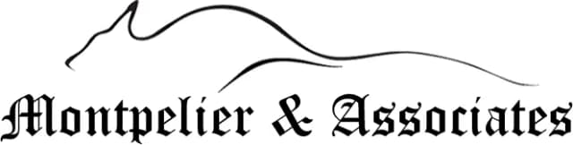 Montpelier & Associates, P.C. — Knoxville Law Firm Montpelier & Associates, P.C., Knoxville Law Firm