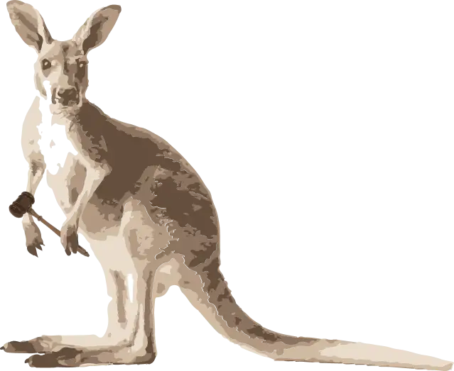 Kangaroo with a Mallet